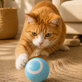Interactive Cat Ball, USB Rechargeable Automatic Rolling Toy with Random Motion
